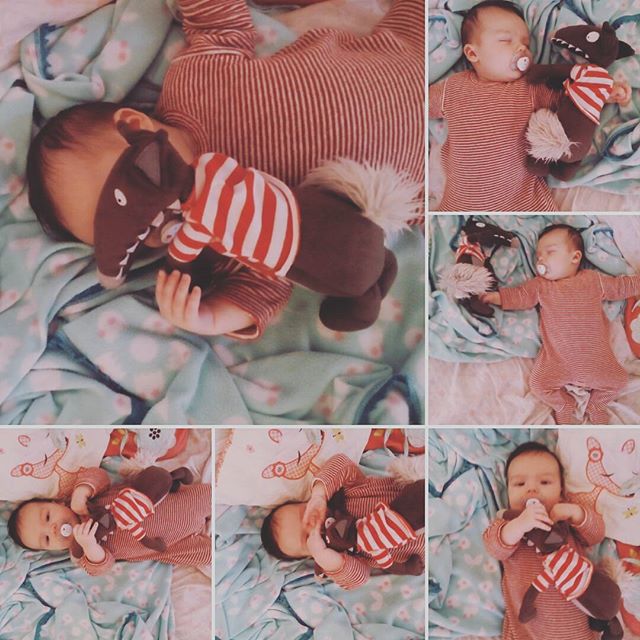 12530657_1109134759106795_1520544952_n