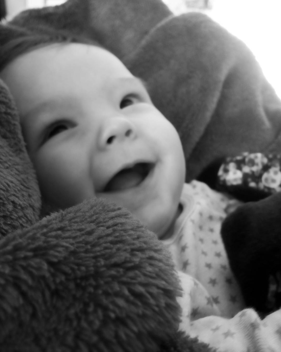 13102540_780834575386377_458280121_n