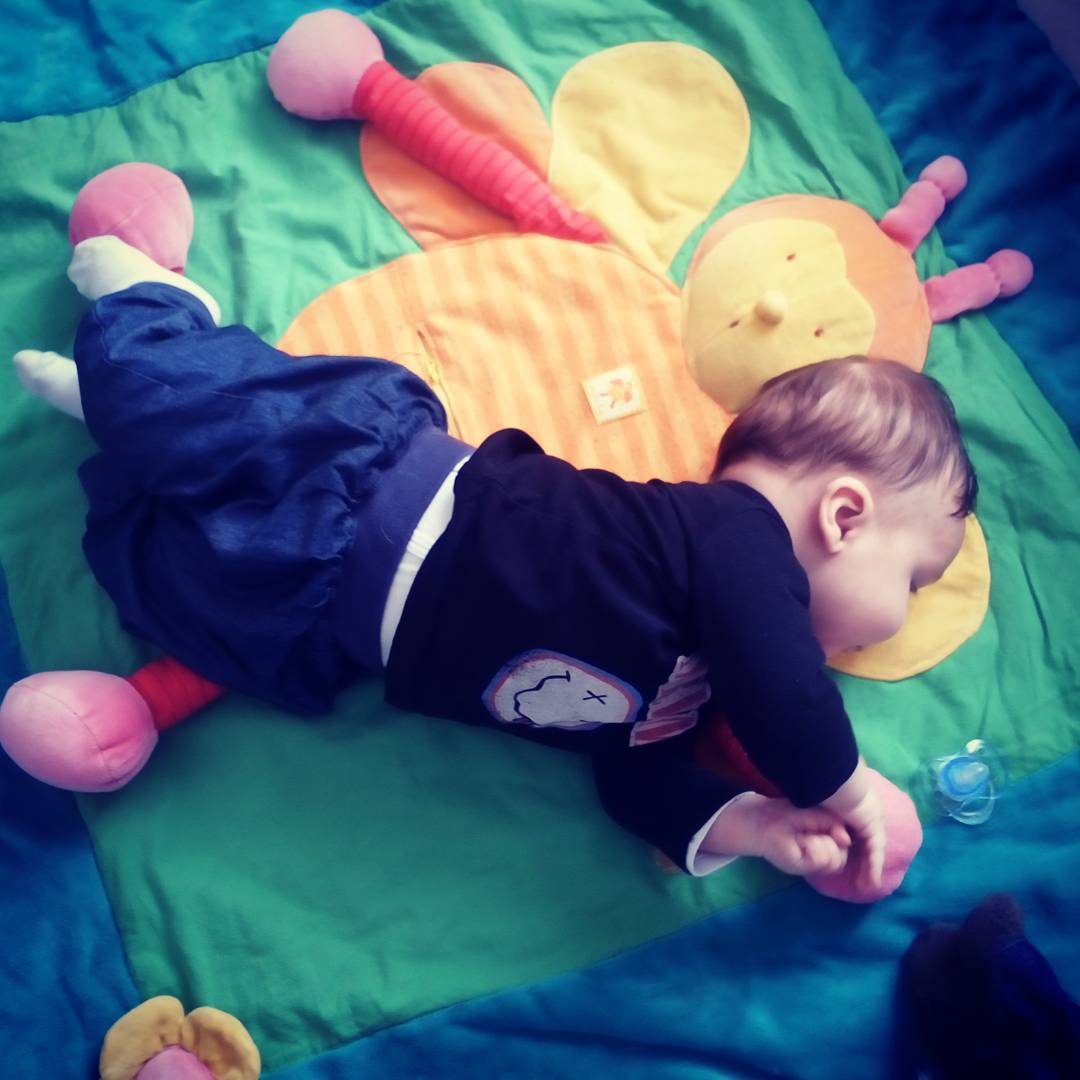 13113982_258699417811040_18145705_n