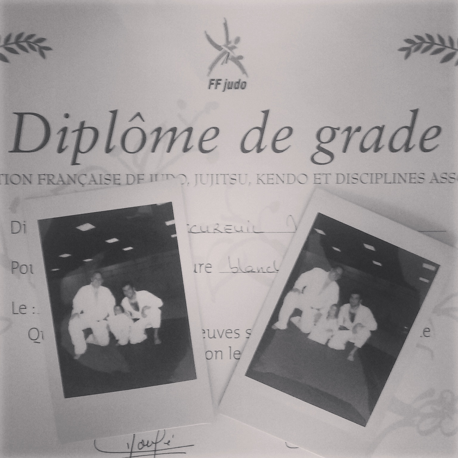 IMG_20150530_115603.jpg image